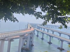 -星海湾跨海大桥