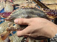 -渔港甄宴·海鲜·地标烟台菜(金沙滩店)