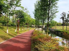 -眉山湿地公园(东坡区)