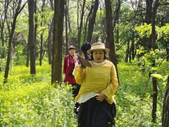 -北陵公园