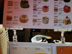 -野人先生现做冰淇淋(北京王府井东方新天地店)