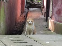 -乐山大佛风景名胜区乌尤寺南门-售票点