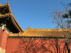 -故宫博物院(故宫)