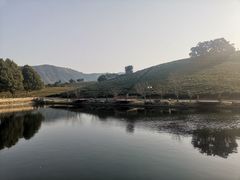 -帐篷客·溪龙茶谷度假酒店