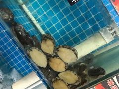 -兆辉木炭海鲜烧烤·海鲜小炒