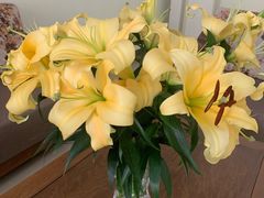 -锦江之星(广州海珠江泰路地铁站店)