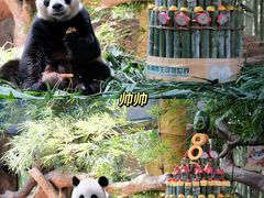-广州长隆野生动物世界