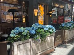 -COVA(新天地Xintiandi店)