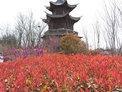 -唐岛湾公园