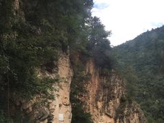 -黑河国家森林公园
