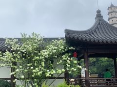 -江心屿景区