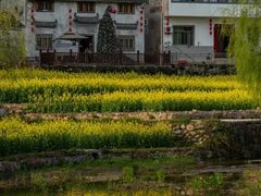 -灵山景区梯田