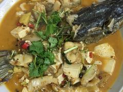 红烧狗鱼-煲来饱去冷水鱼