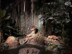 -武汉园博园(武汉自然博物馆)