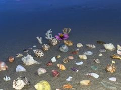 -坛南湾阿强农家乐.海鲜大排档老字号(福州地标美食店)