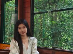 -合肥滨湖国家森林公园