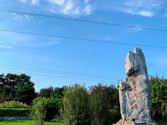 -云岗森林公园