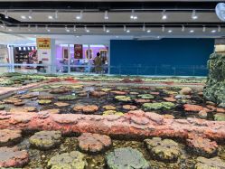 -钓虾工场·钓虾·赶海(回龙观店)