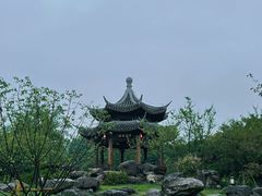 -江心屿景区