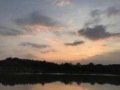 -东莞植物园