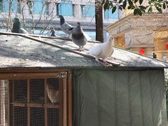 -青岛鑫江温德姆酒店