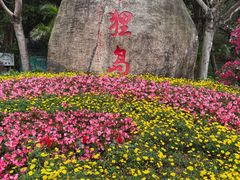 -野狸岛