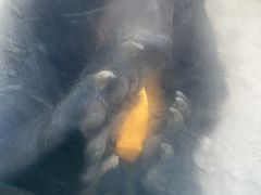 -栾川竹海野生动物园