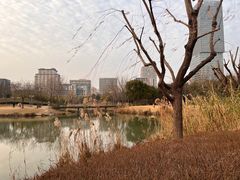 -汉堡王(嘉定宝龙城市广场)