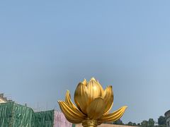 -金莲花广场
