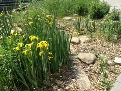 -苏州河梦清园环保主题公园