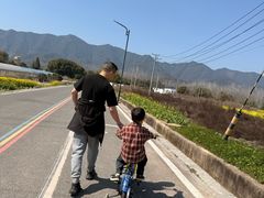 -东梓关景区村庄