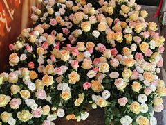 -桃花涧