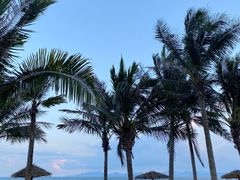 -玫瑰海岸文化旅游度假区