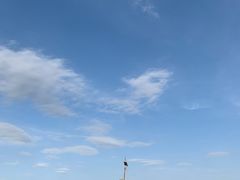 -草原天路(张北县)