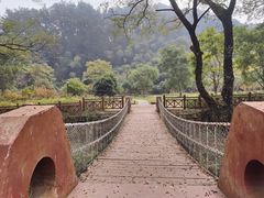 -素山寺森林公园