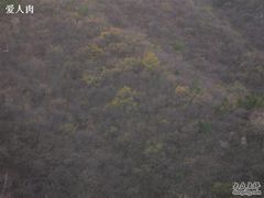 -北京鹫峰国家森林公园