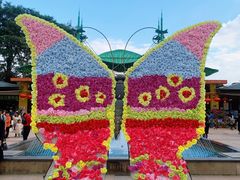-松山湖梦幻百花洲