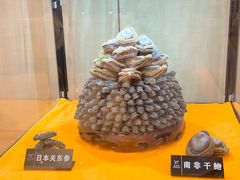 -粤珍轩·家宴·广式茶点(新城广场店)