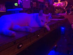 -星宿秘码(鼓浪屿老店)