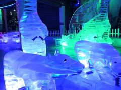 -石林冰雪海洋世界