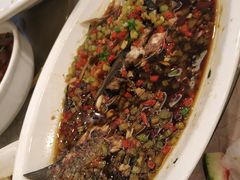 -陶然居·重庆菜(解放碑店)