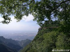 -少华山国家森林公园