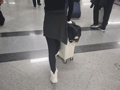 -福州长乐国际机场