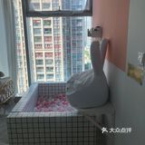 奇异果摄影