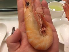 红须虾-益利大酒楼(井岸店)