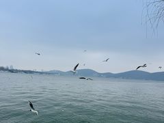 -云龙湖旅游景区