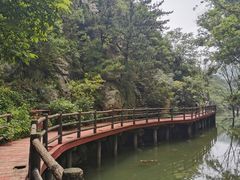 -木兰云雾山