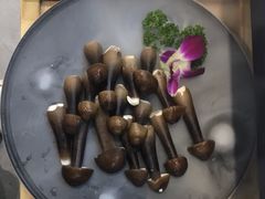 黑皮鸡枞菌-顺德公猪肚鸡·椰子鸡(惠东天虹店)