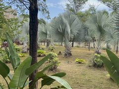 -金鸡岭桥头公园