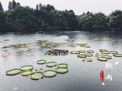 -西湖游船